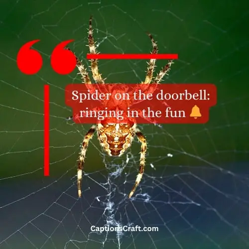 One-word Spider Captions For Instagram