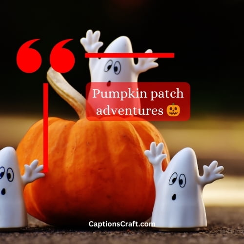 Superb Halloween Captions For Instagram (Writers Choice)