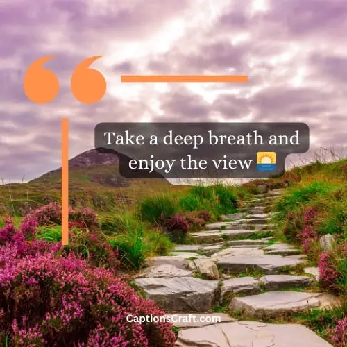 Superb Instagram Nature Captions (Writers Choice)