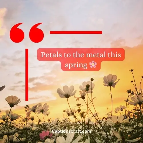 Superb Spring Instagram Captions (Writers Choice)