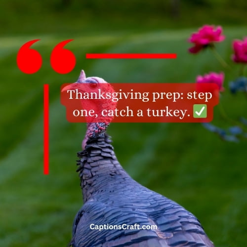 Superb Turkey Hunting Instagram Captions (Writers Choice)