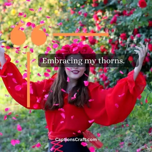Three-word Short Rose Captions For Instagram (Editors Pick)