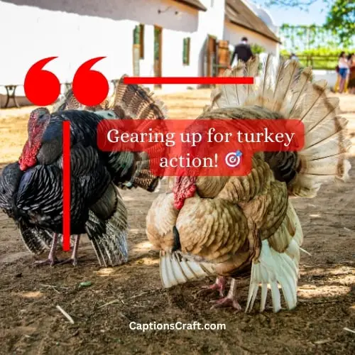 Three-word Turkey Hunting Instagram Captions (Editors Pick)
