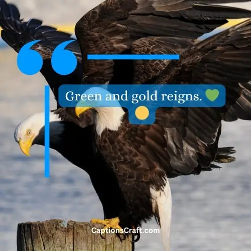 Two-word Philadelphia Eagles Instagram Captions (Snappy)