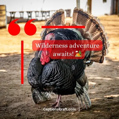 Two-word Turkey Hunting Instagram Captions (Snappy)
