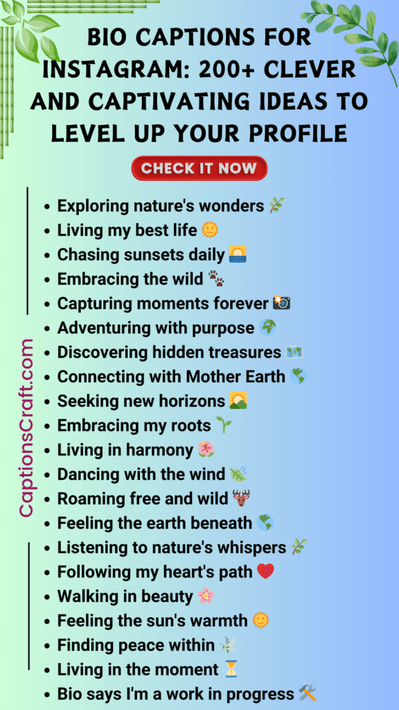 200+ Bio Captions For Instagram To Let Your Profile Speak 5 Bio Captions For Instagram