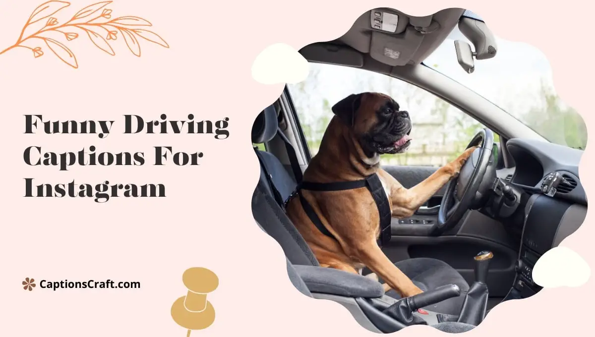 Funny Driving Captions For Instagram