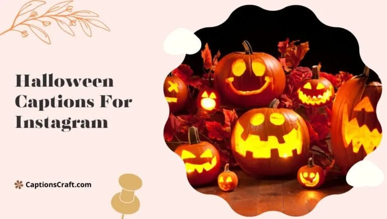135+ Spooktacular Halloween Captions For Instagram And Quotes to Bewitch Your Followers