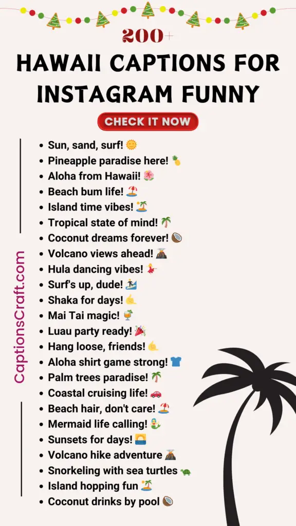 Hawaii Captions For Instagram Funny