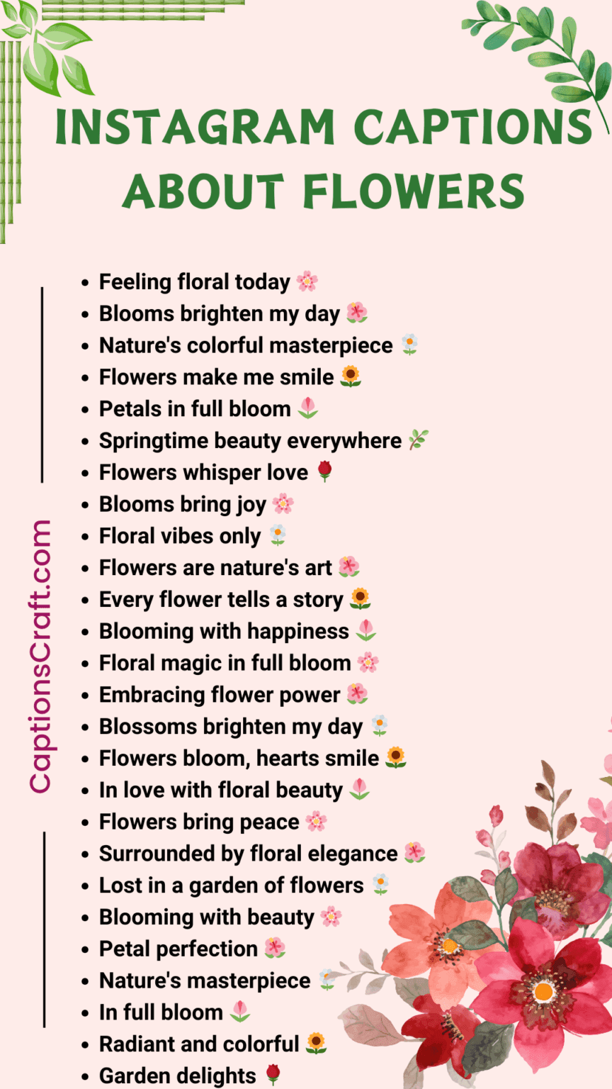 Top Instagram Captions About Flowers 200+ Blooming Ideas To Elevate