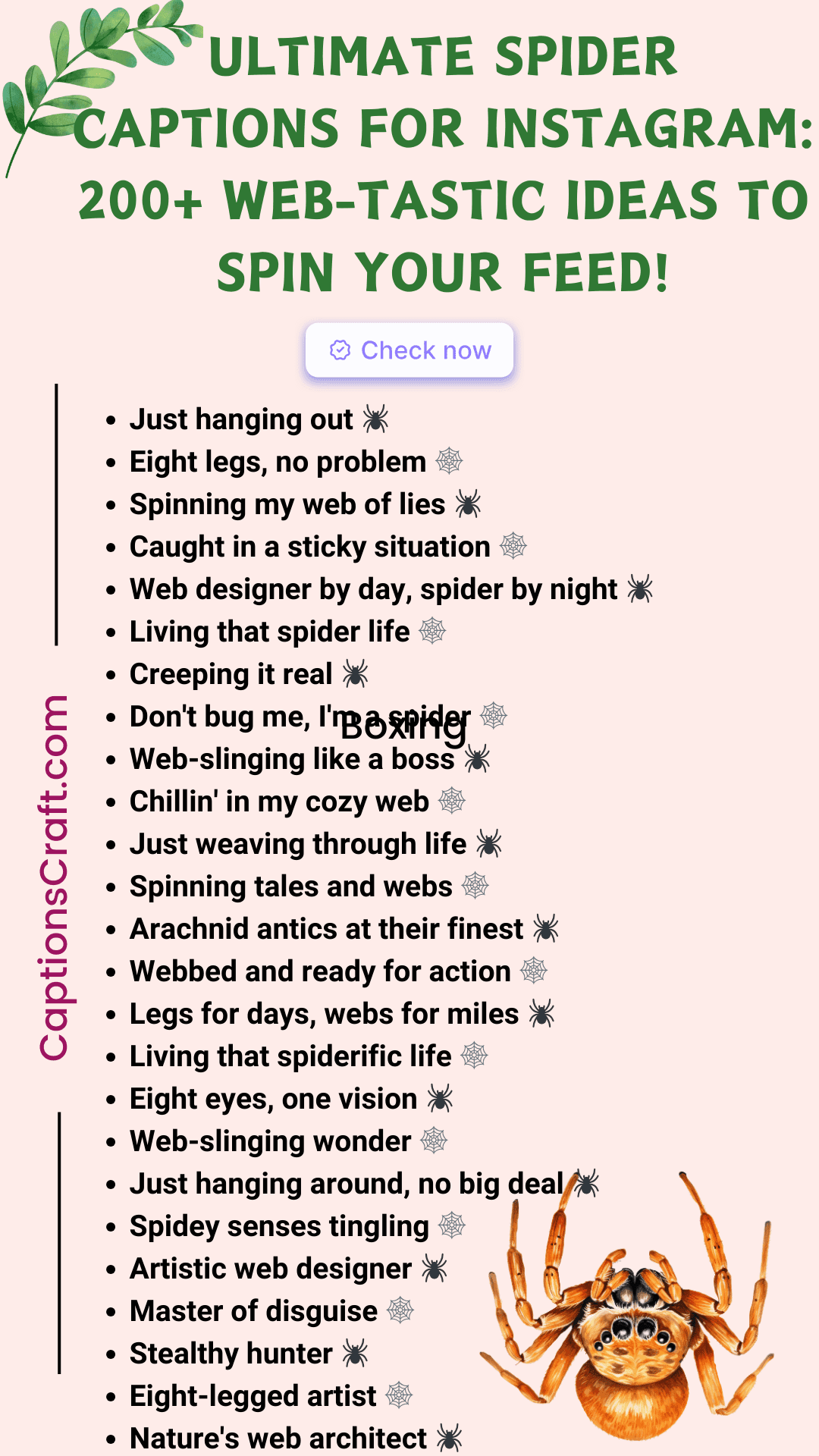 Ultimate Spider Captions For Instagram: 200+ Web-tastic Ideas To Spin ...
