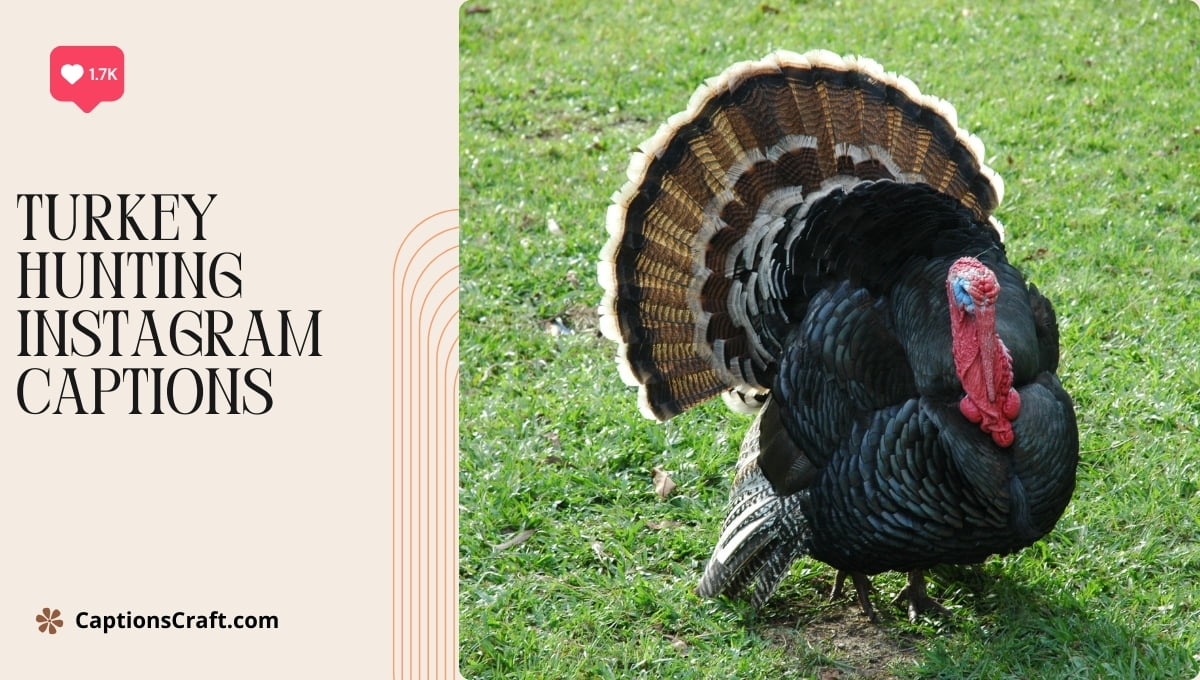 200+ Gobble-Worthy Turkey Hunting Captions: Strut Your Stuff!