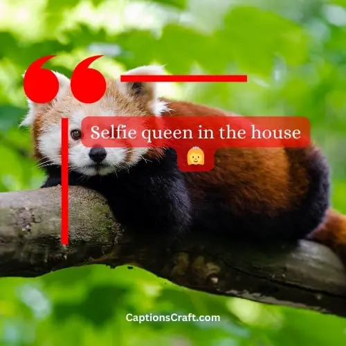 Creative Instagram Captions for Cute Selfies