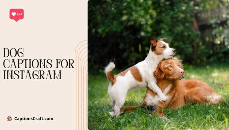 Paw-sitively Charming Dog Captions For Instagram and Quotes That Will Delight 129+ Dog Lovers