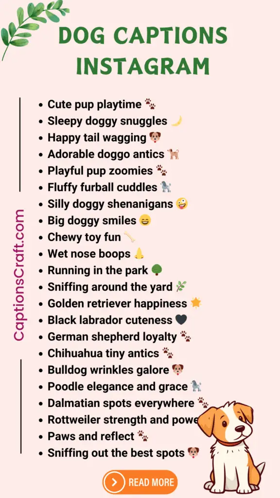 Dog Captions Instagram