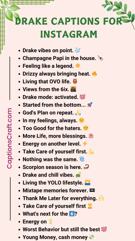 Drake Captions For InstagramDrake Captions For Instagram