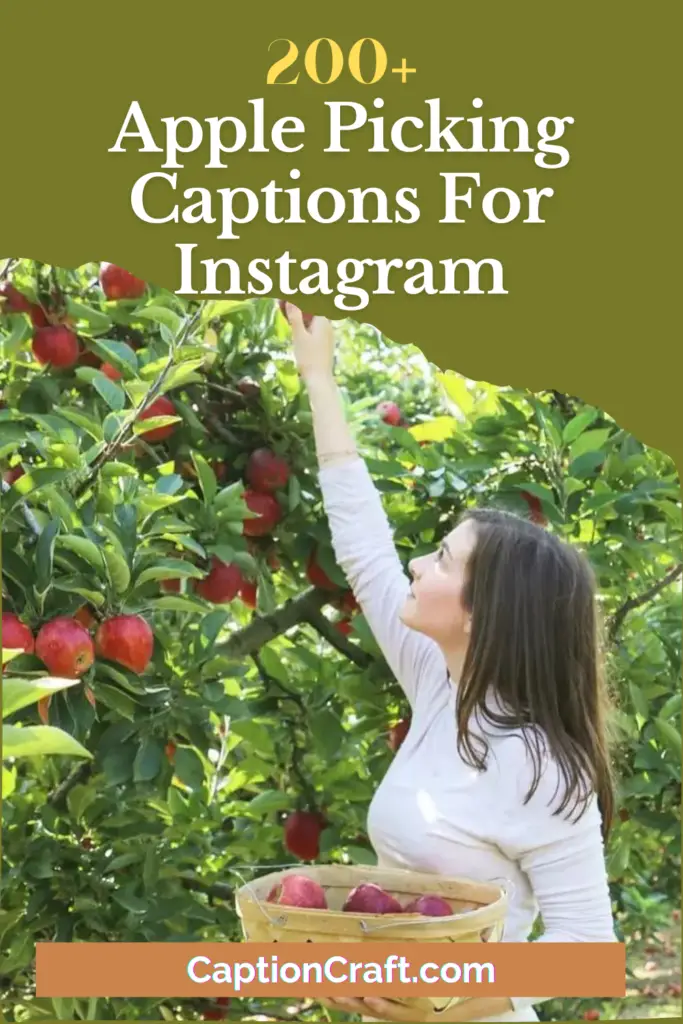 Apple Picking Captions For Instagram