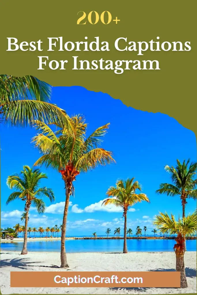 Best Florida Captions For Instagram
