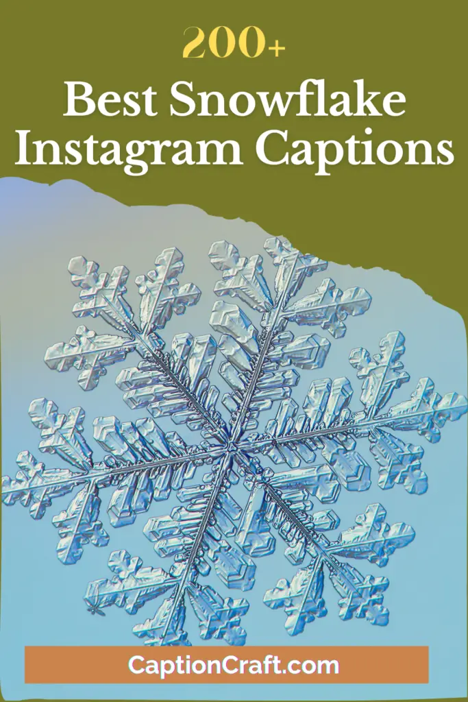 Best Snowflake Instagram Captions