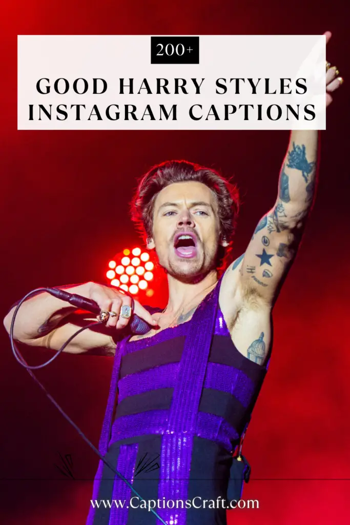 Good Harry Styles Instagram Captions