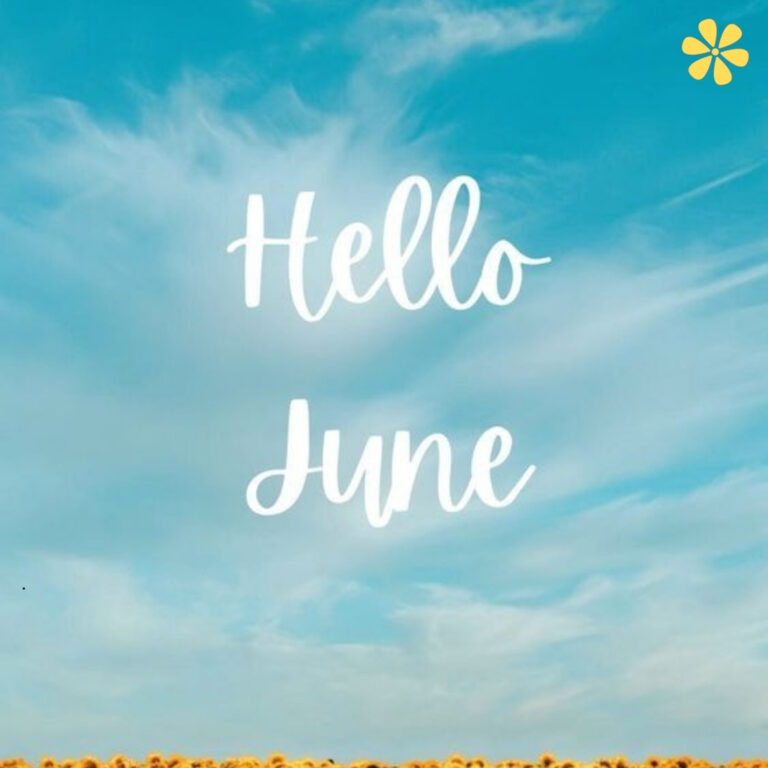 Hello June Captions and Quotes