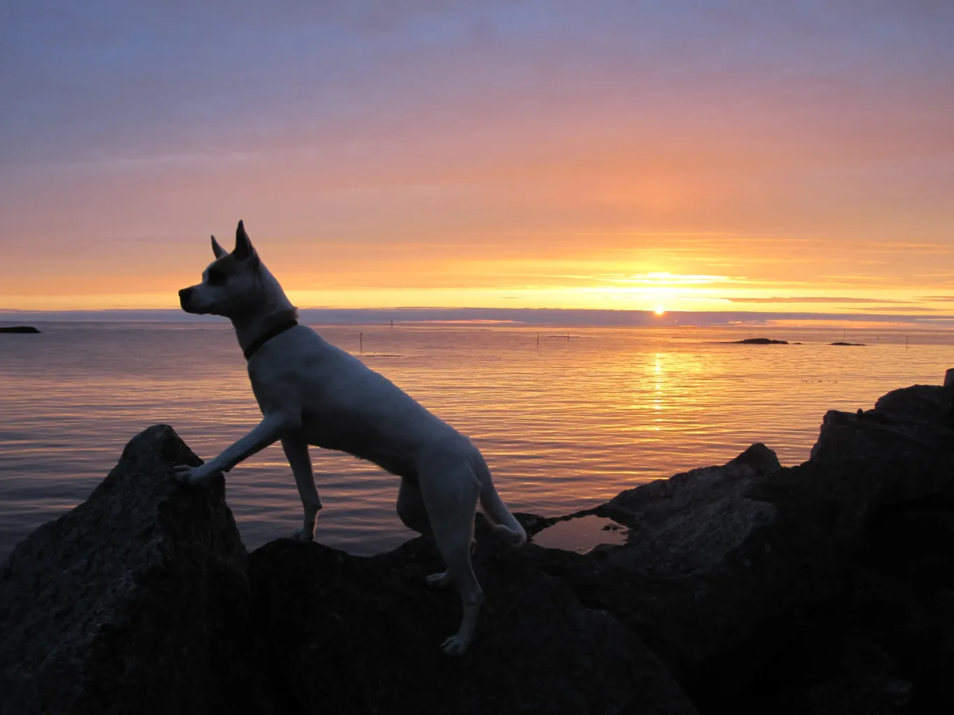 Rise and Shine: Over 200 Engaging Sunrise Captions for Instagram 5 Hilarious Sunrise Captions For Instagram