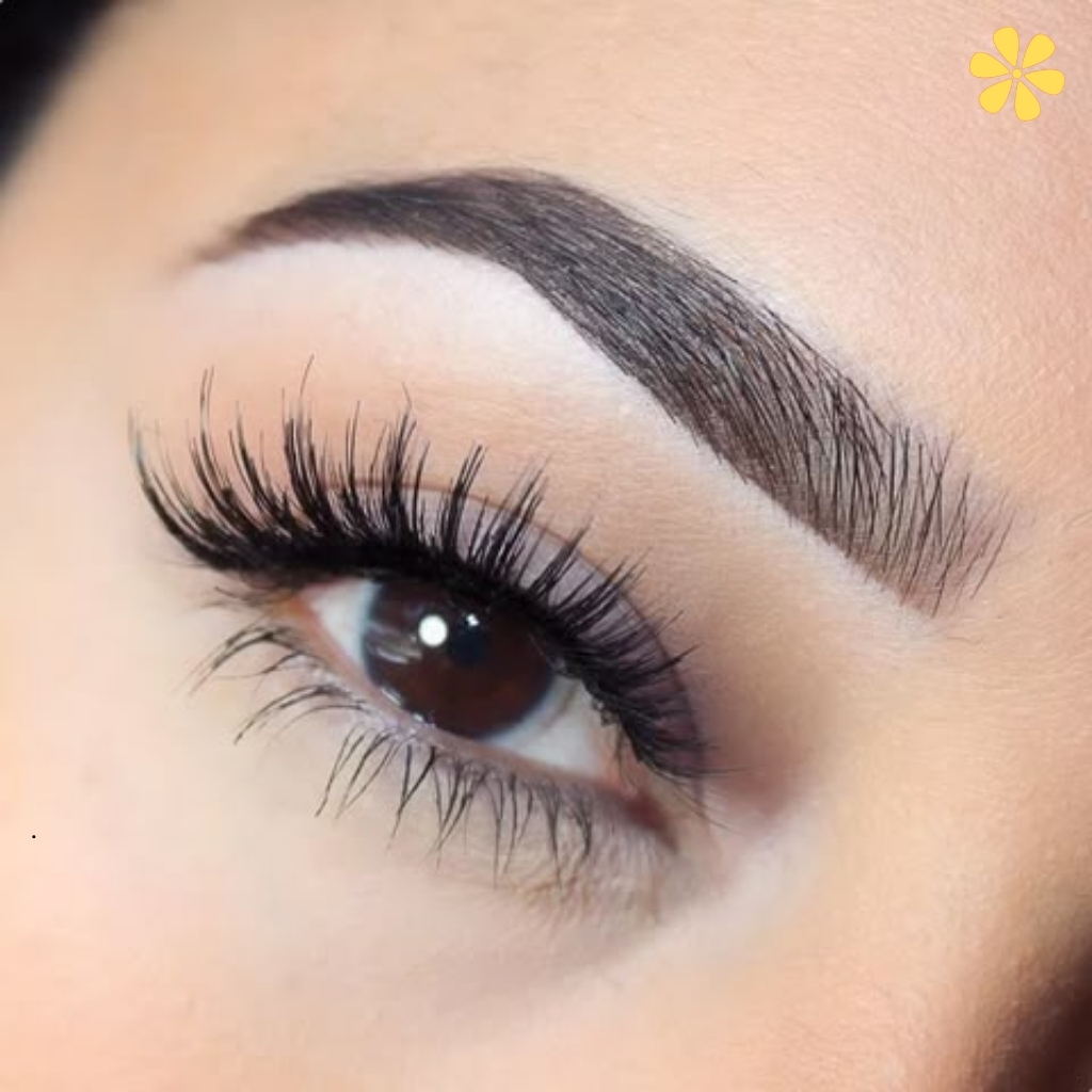 200+ Lash Captions and Quotes for Instagram to Enhance Your Glam Posts 13 Lash Captions and Quotes for Instagram