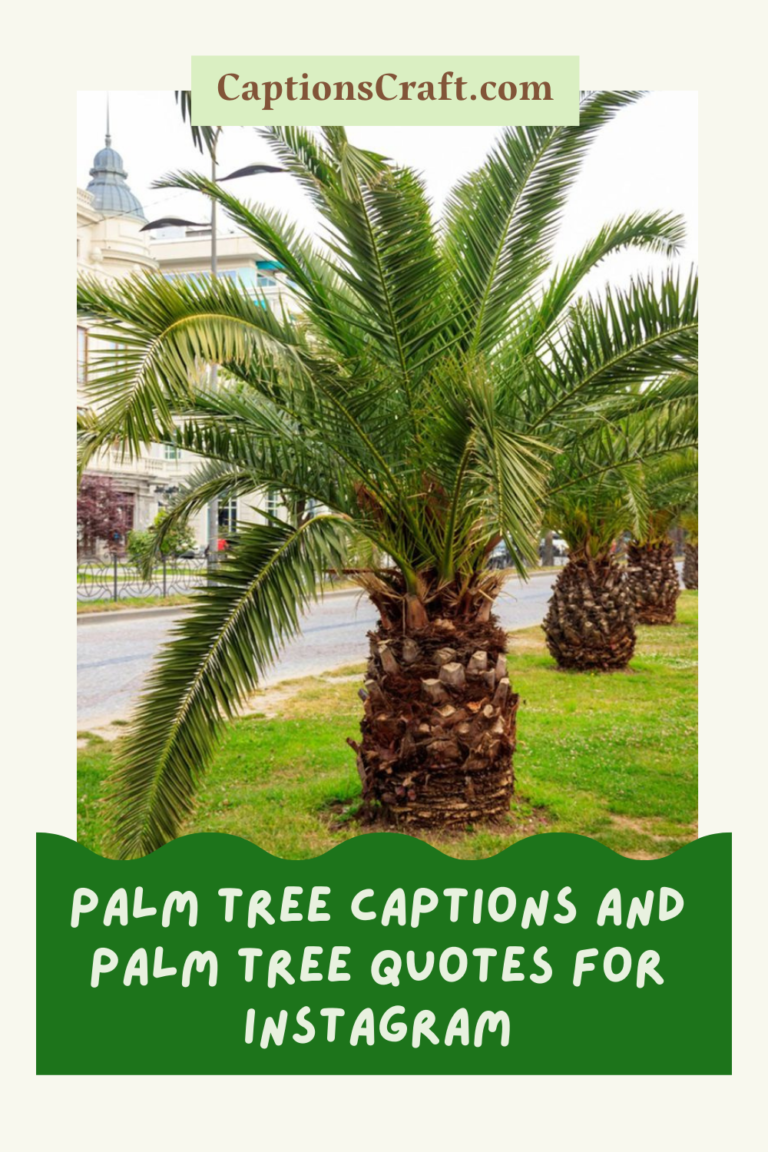 Palm Tree Captions And Quotes For Instagram 200+ Tropical Vibes For