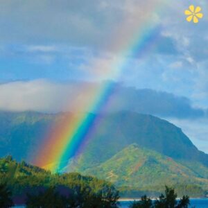 125+ Vibrant Rainbow Captions For Instagram and Inspiring Quotes to Brighten Your Feed