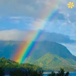 125+ Creative Rainbow Captions For Instagram and Inspiring Quotes to Brighten Your Feed