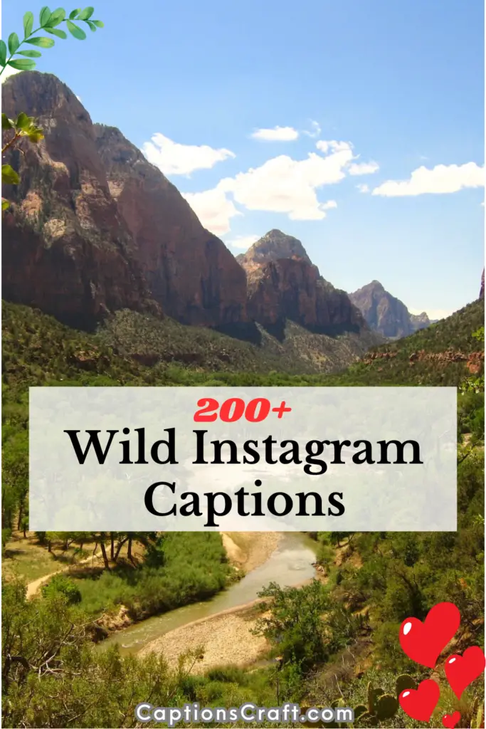 Wild Instagram Captions