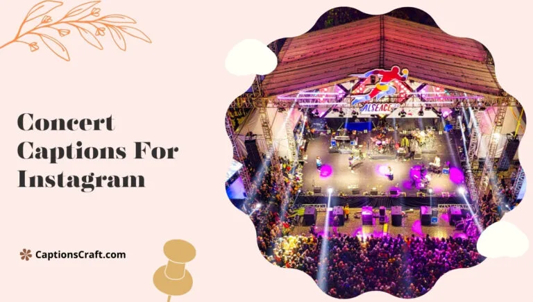 Creative Concert Captions For Instagram and Quotes That Spark Joy 135+ Excitement
