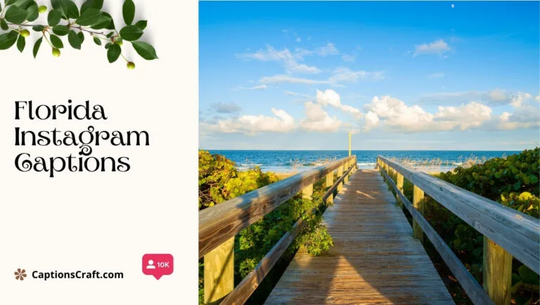 127+ Creative Florida Captions For Instagram And Quotes That Spark Joy and Adventure