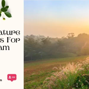 200+ Good Nature Captions For Instagram To Show Your Love For The Outdoors y