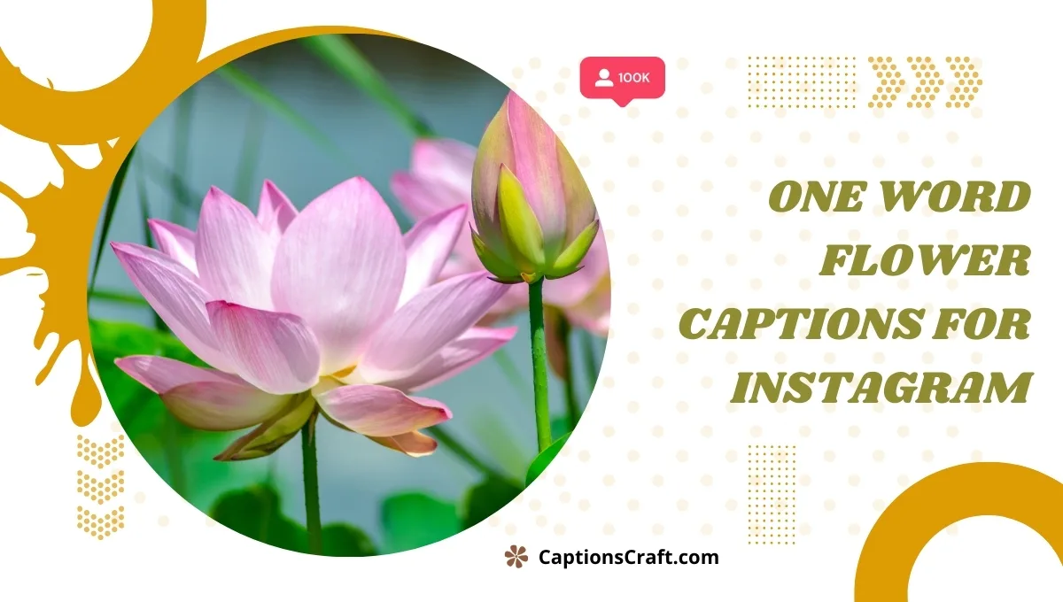 One Word Flower Captions For Instagram