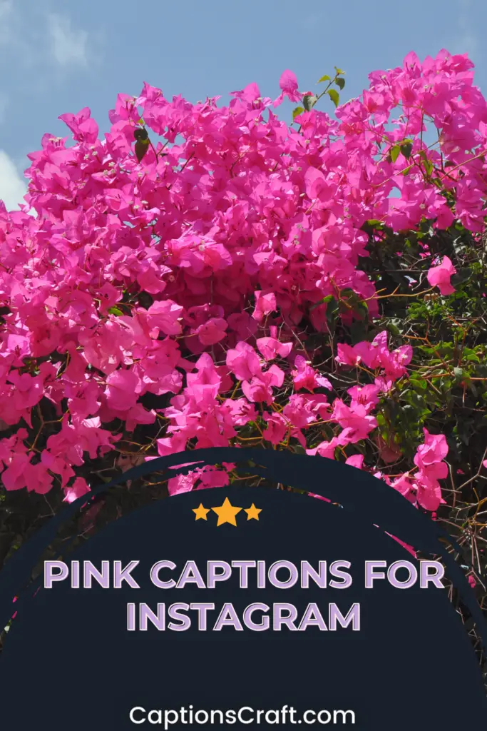 Pink Captions For Instagram