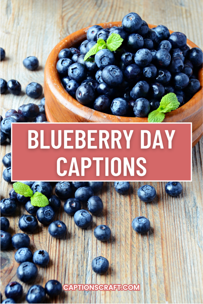 Blueberry Day captions