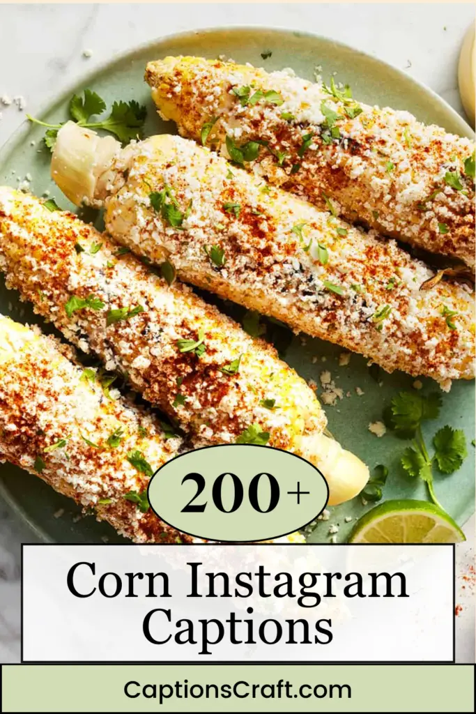 Corn Instagram Captions