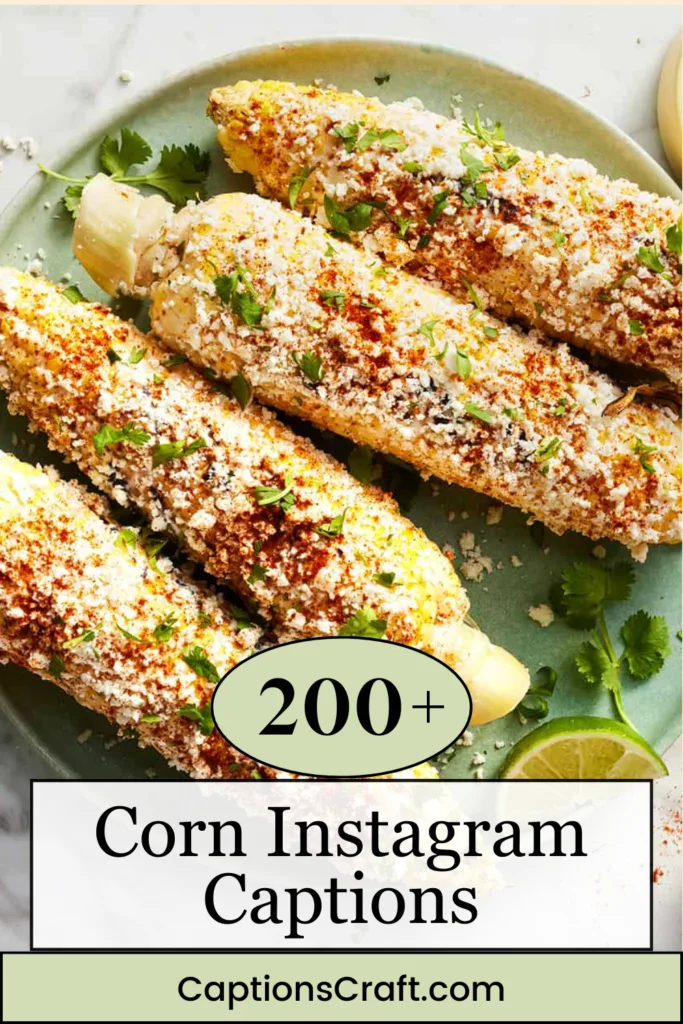 200+ Corn Instagram Captions To Add Flavor To Your Feed 2 Corn Instagram Captions