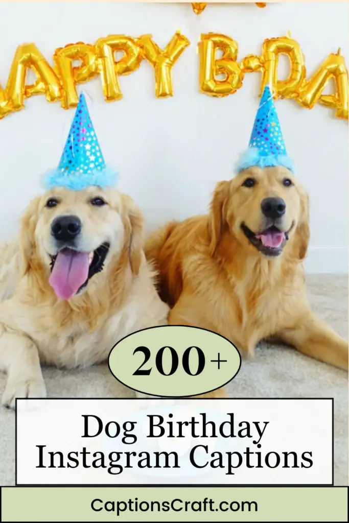 Dog Birthday Instagram Captions