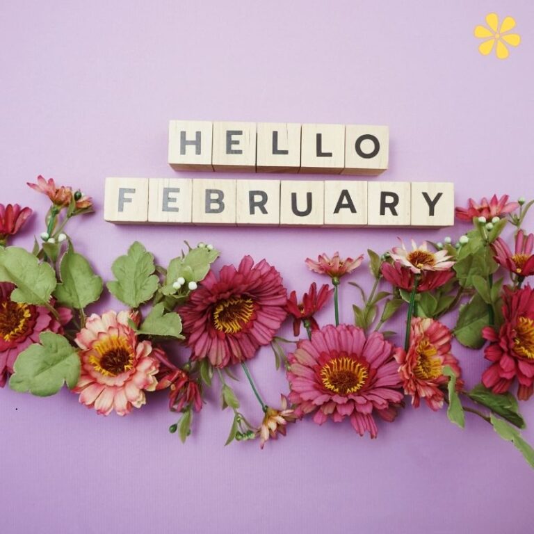 February Instagram Captions