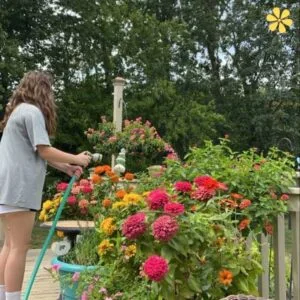 129+ Creative Gardening Captions For Instagram to Inspire Your Green Thumb