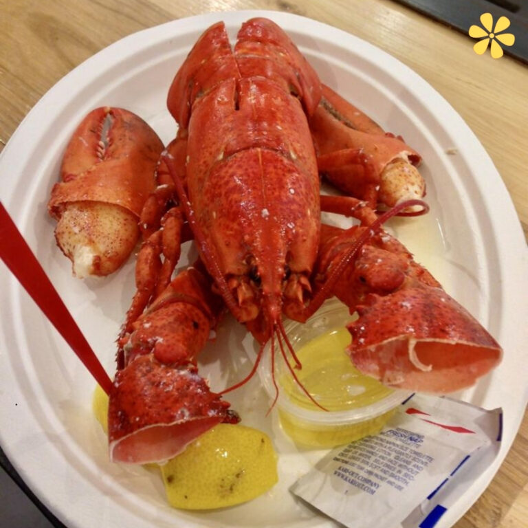 Lobster Instagram Captions