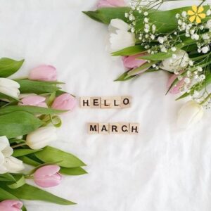 200+ March Instagram Captions To Celebrate Spring and New Beginnings y