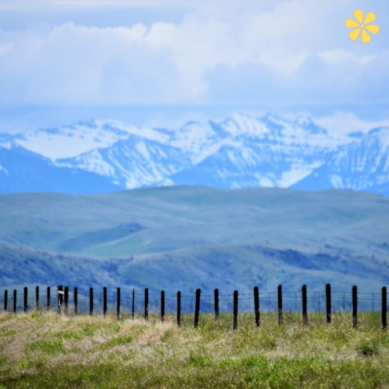 200+ Montana Instagram Captions To Showcase The Big Sky Beauty 15 Montana Instagram Caption