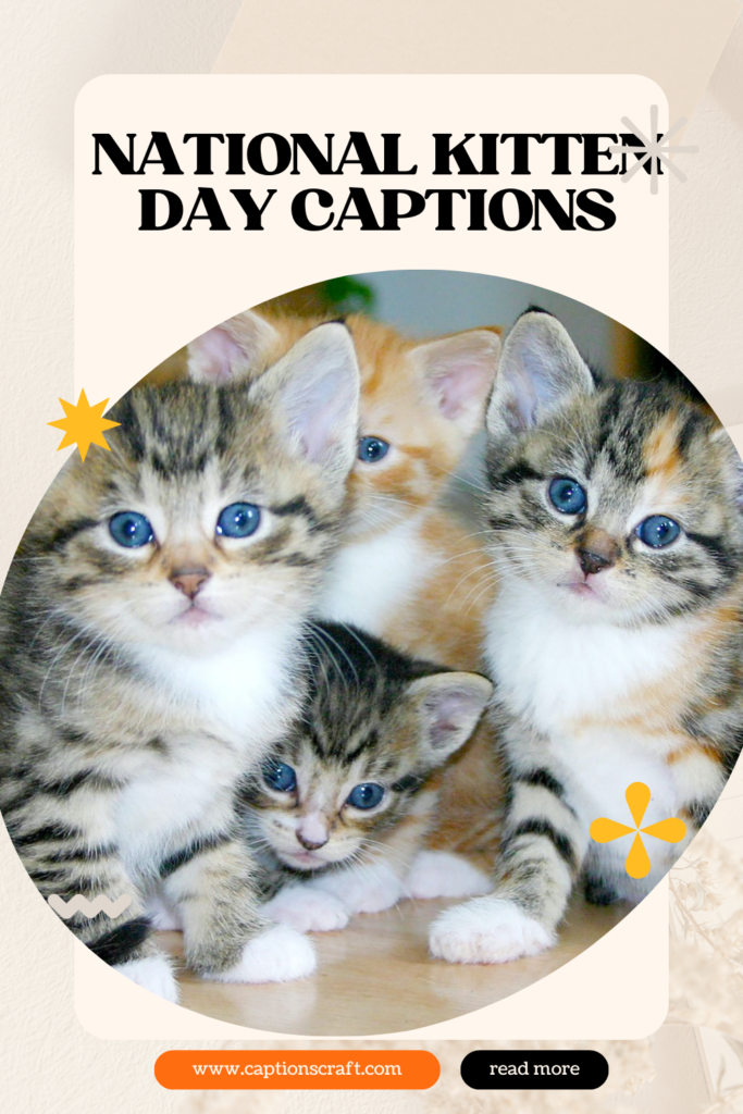 National Kitten Day captions