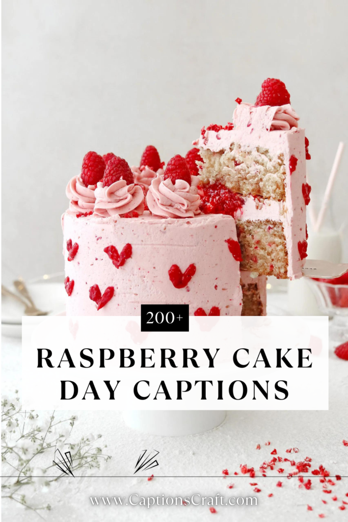 Raspberry Cake Day captions