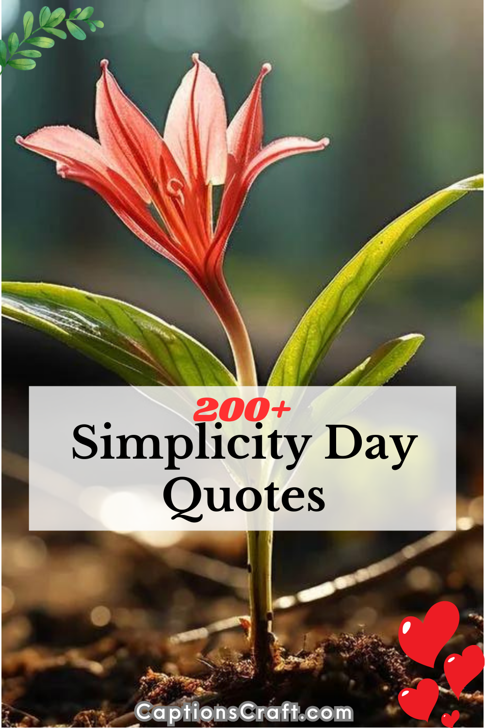 Discover Over 200 Refreshingly Simple Simplicity Day Sayings to Inspire ...