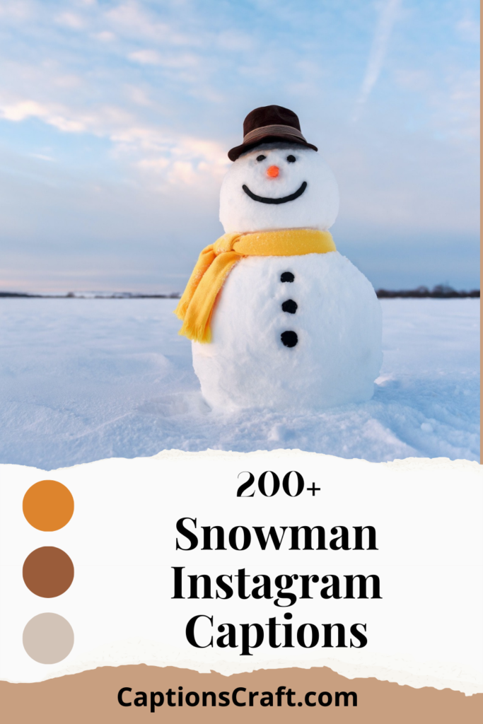 Snowman Instagram Captions