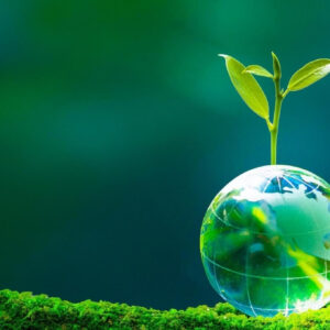 123+ Best Green Quotes to Inspire a Sustainable Mindset Today